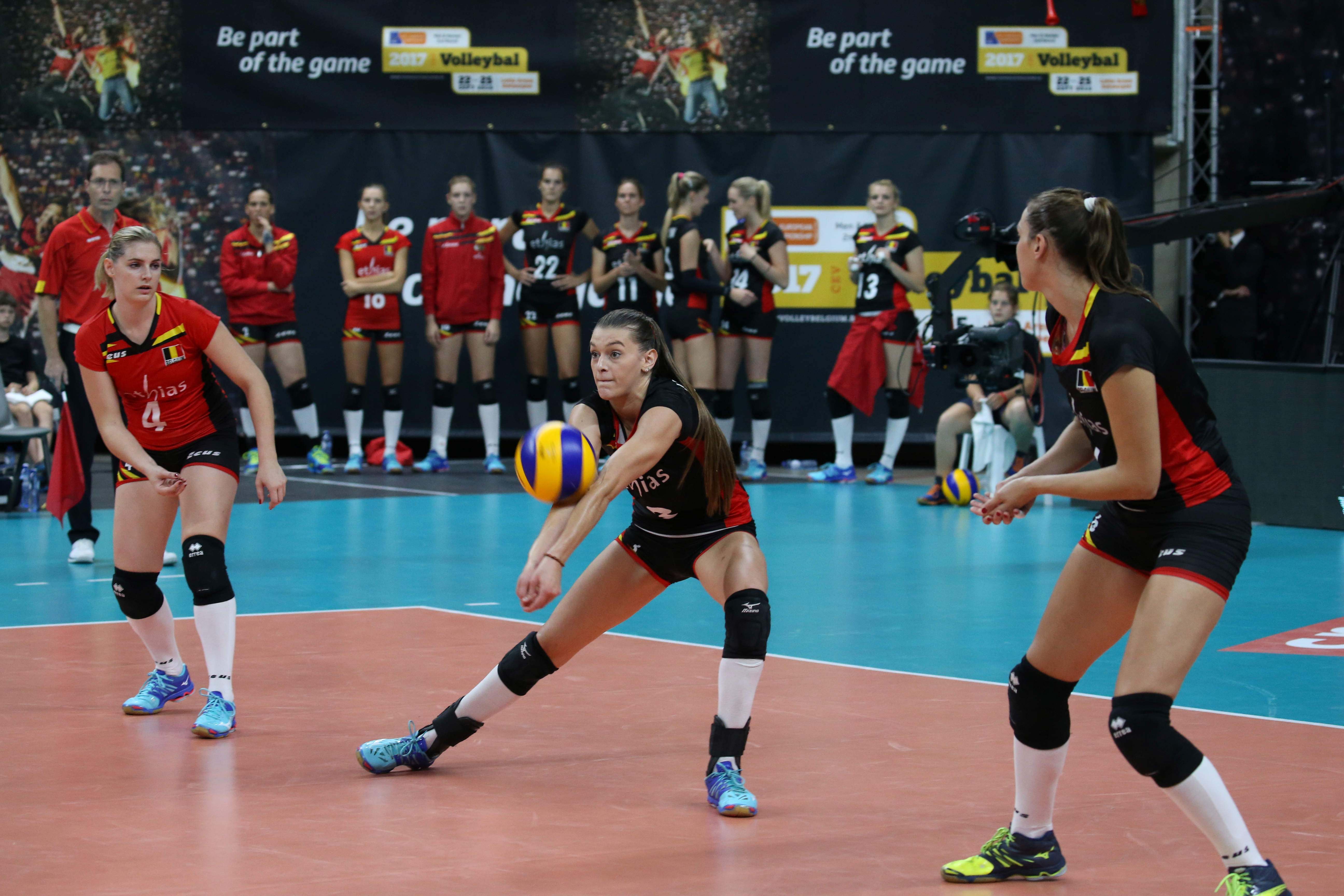 britt herbots yellow tigers